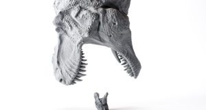 Carbon-3D-printing-models-MD