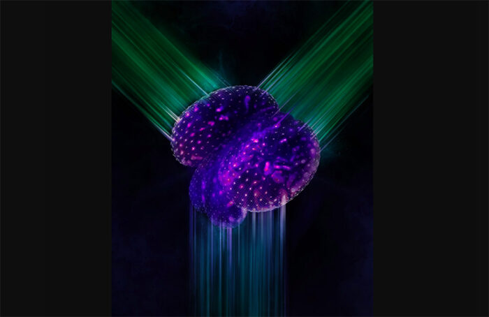 European researchers develop speedy 3D microscope - MassDevice