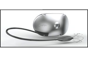 Aria CV
