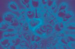 coronavirus medtech medical device industry World Health Organization