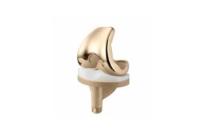 B.Braun Aesculap Vega Knee implant