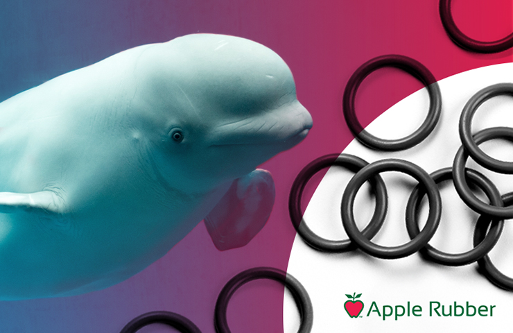 How Apple Rubber’s Rapid Prototyping Kept Whale Research Afloat