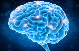 Adobe Stock Image for Neuracle BCI story