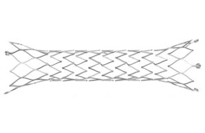 Starlight Cardiovascular Lifeline Ductus arteriosus stent product image