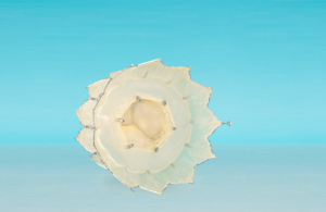 TriCares Topaz transcatheter tricuspid valve replacement TTVR system