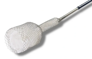 EmStop embolic protection system EPS