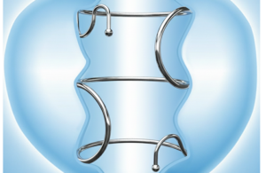 ZenFlow Spring 770x500
