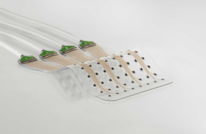 Neurosoft Bioelectronics brain interface BCI