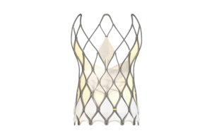 Venus Medtech Venus Power-X TAVR