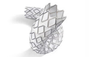 Gore's Viabahn VBX endoprosthesis.